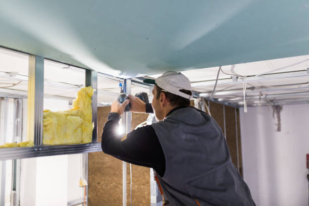 Best Soundproof Insulation Installation  in North Platte, NE