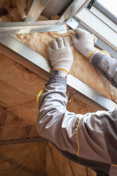 Best Insulation Replacement Services  in North Platte, NE