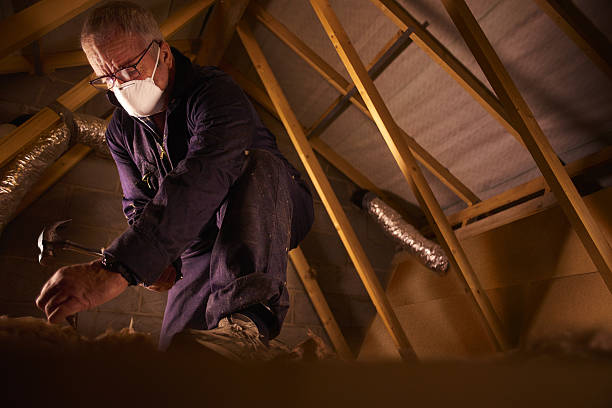Best Attic Insulation Installation  in North Platte, NE