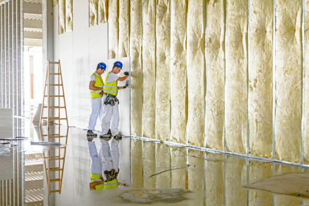 Trusted North Platte, NE Insulation Contractor Experts